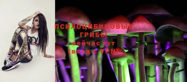 spice Верхний Тагил