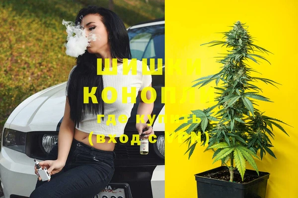 spice Верхний Тагил