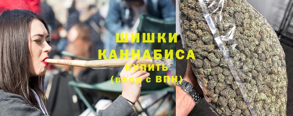 spice Верхний Тагил