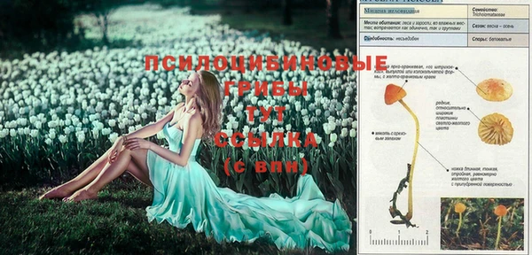 mdma Верхнеуральск
